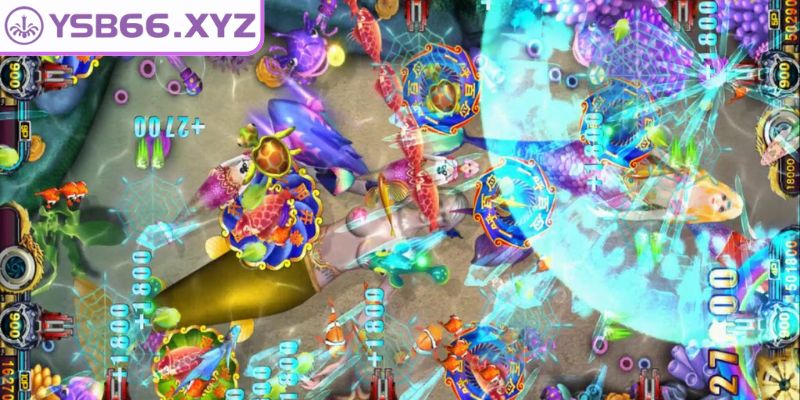 Nắm bắt chu kỳ xuất hiện của các loài cá