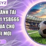 Cách đánh tài xỉu hiệp 1 YSB66