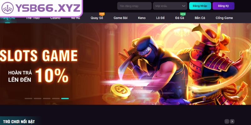 Những điều cần biết trước khi đăng ký YSB66
