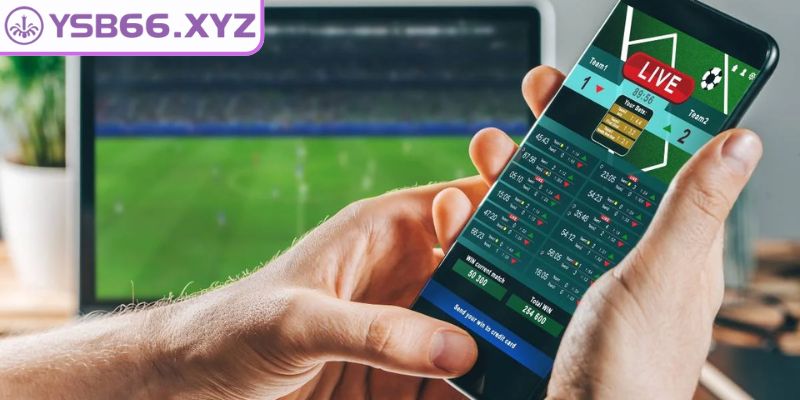 Bí quyết quản lý vốn và thời điểm đặt cược hợp lý