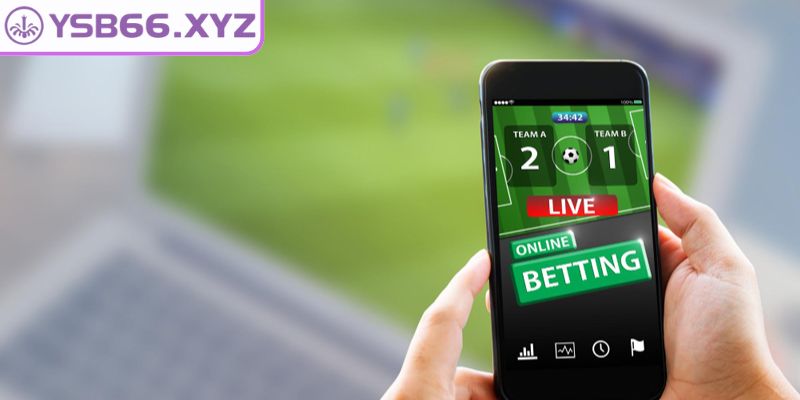 Chiến lược phân tích và đọc kèo chấp nửa trái hiệu quả