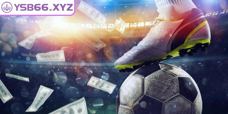 Một số điều cần chú ý để tránh rủi ro không đáng có