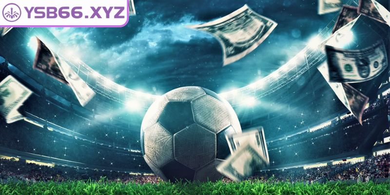 Hướng dẫn cụ thể các bước