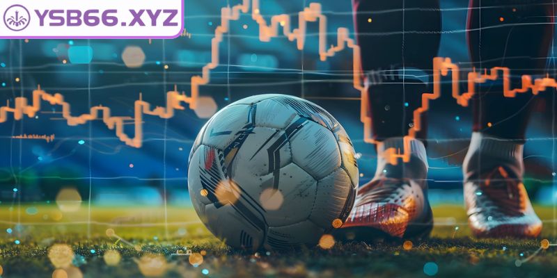 Hiểu rõ khái niệm kèo hòa ngoại trừ YSB66
