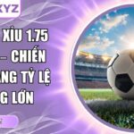 Kèo tài xỉu 1.75 YSB66