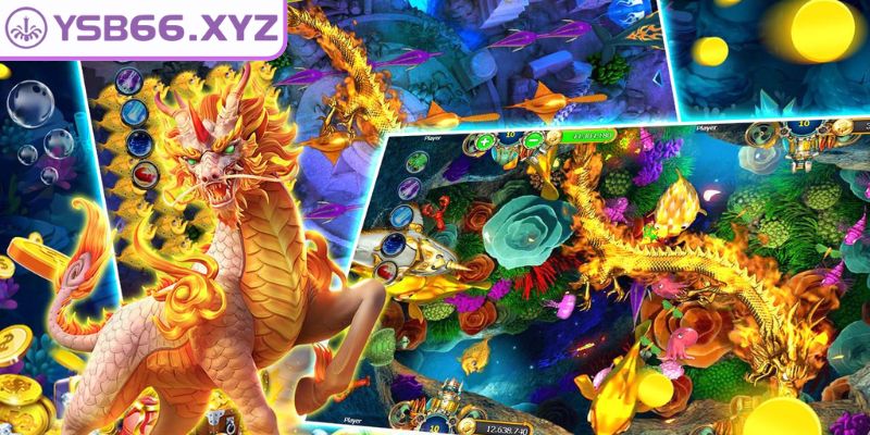 Tổng quan về quỳ hoa bảo điển bắn cá YSB66 
