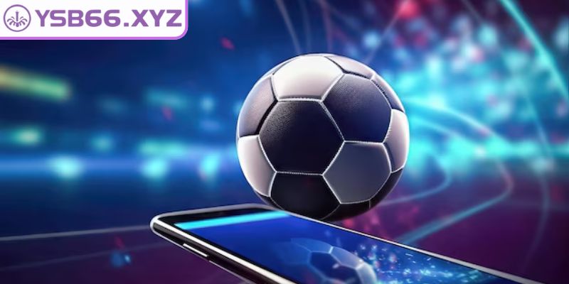 Tìm hiểu rõ Tỉ lệ 2 in 1 YSB66
