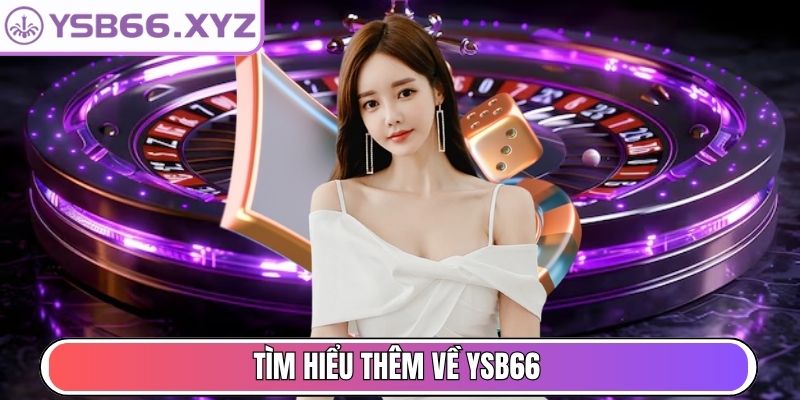 Tìm hiểu thêm về YSB66
